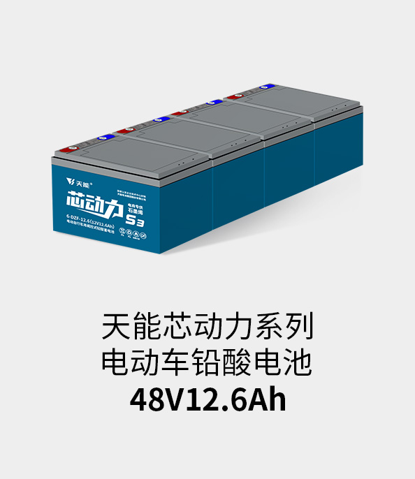 SG胜游电池48v12ah