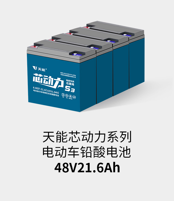 SG胜游电池48v20ah