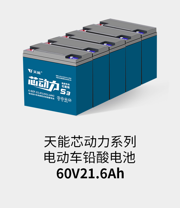 SG胜游电池60v20ah