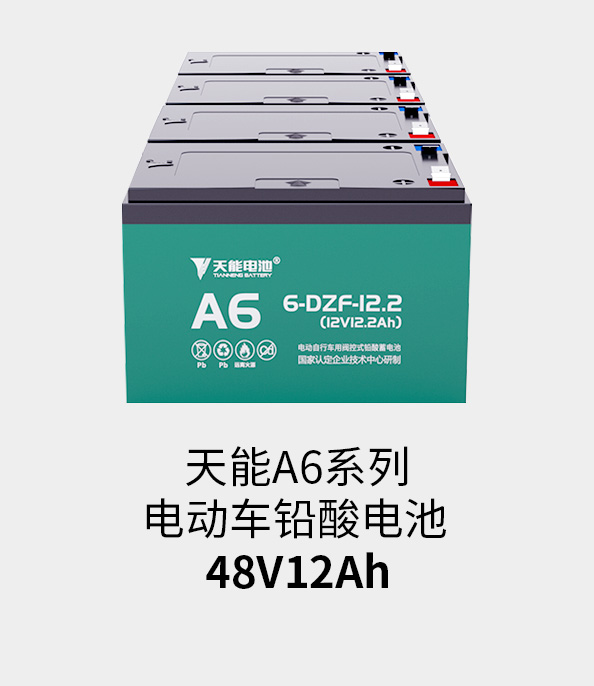 SG胜游电池48v12ah