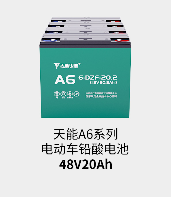 SG胜游电池48v20ah