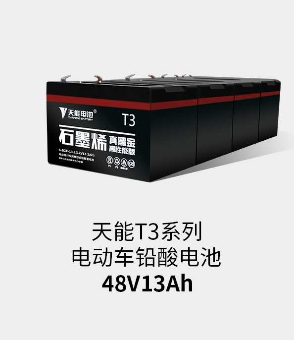 SG胜游T3系列48v13ah