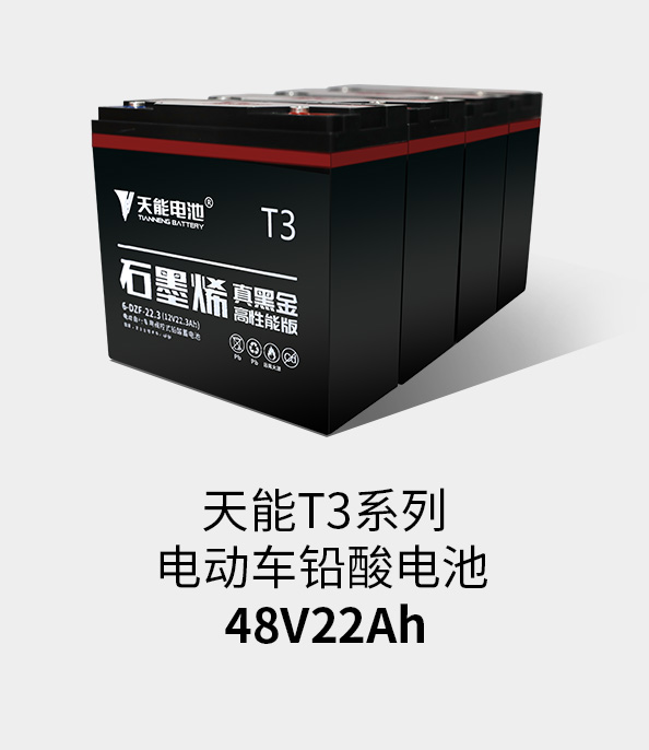 SG胜游T3系列48v22ah