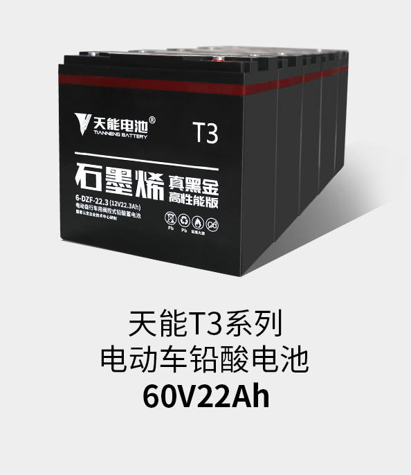 SG胜游T3系列60v22ah