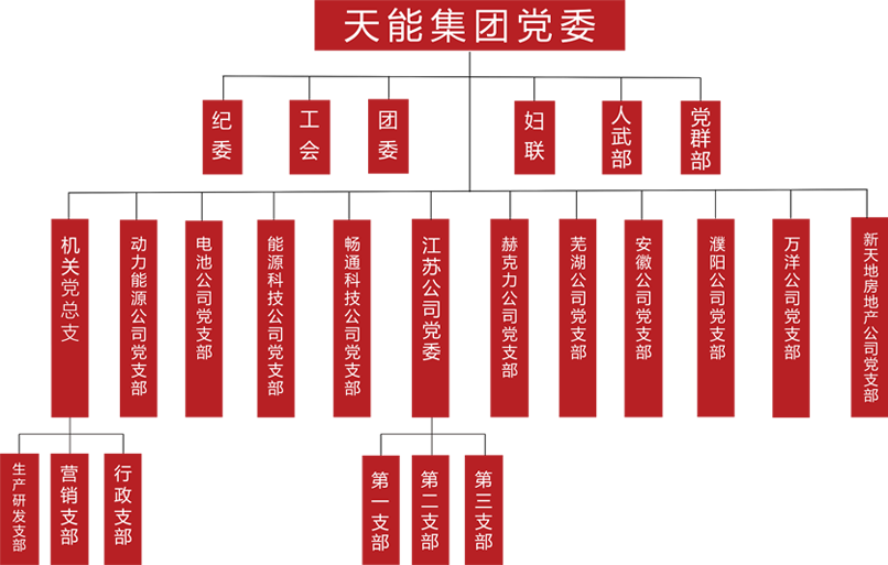 SG胜游建团党委组织架构