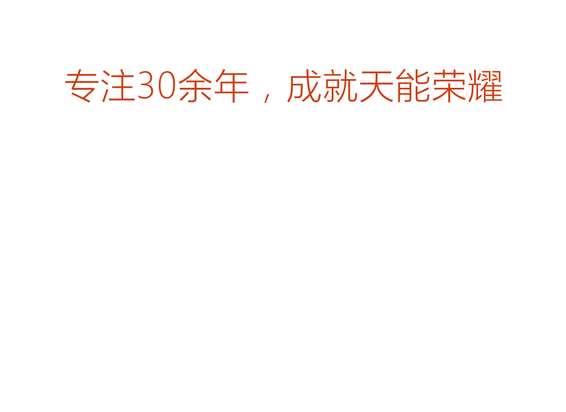 SG胜游荣誉